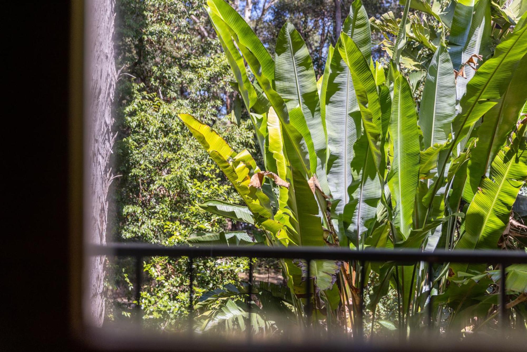 Sanctuary Resort Motor Inn Coffs Harbour Eksteriør bilde